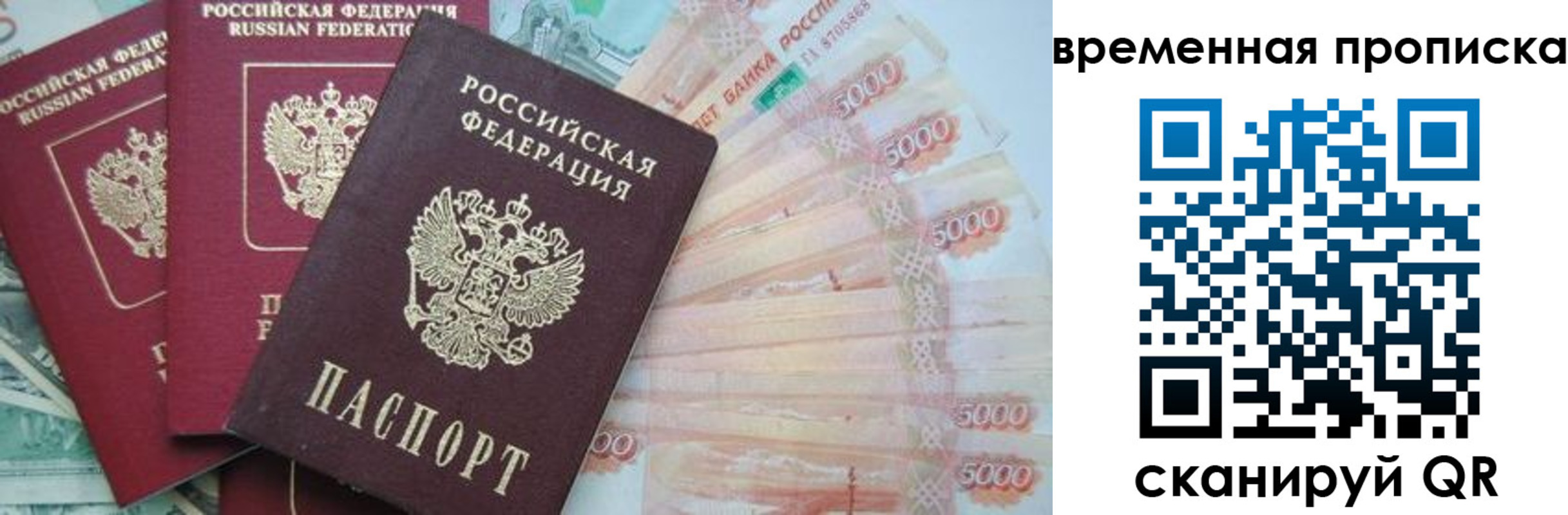 прописка поиск в Орехово-Зуево